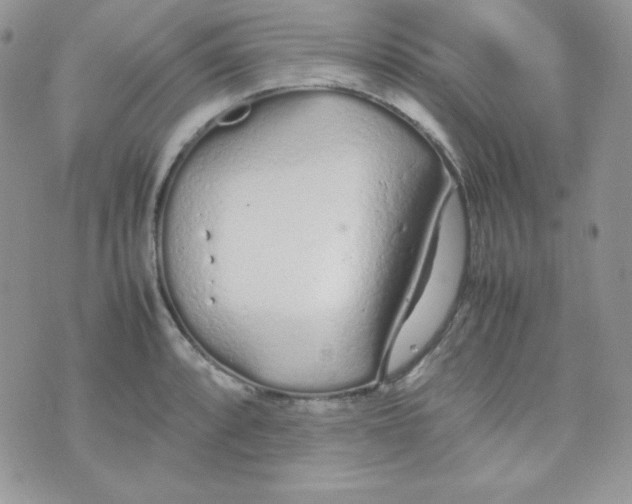 X0000074931088200609291751