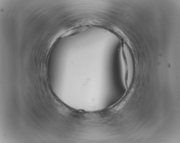 X0000074931089200609291751