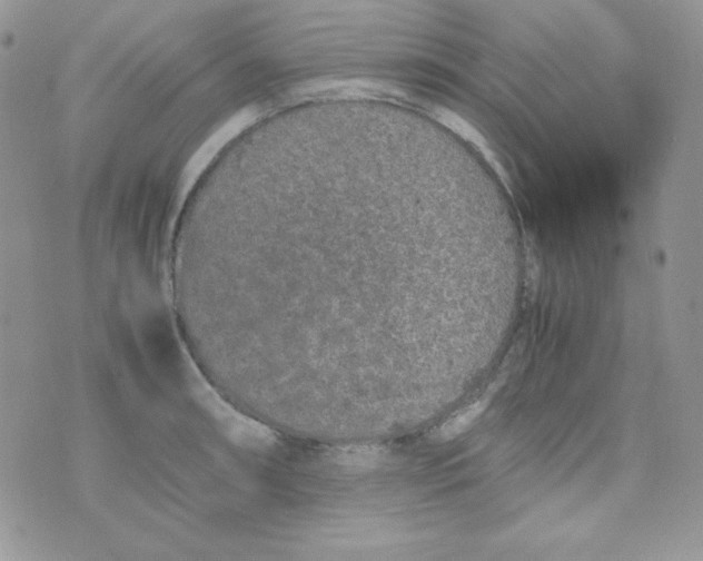 X0000074931090200609291751