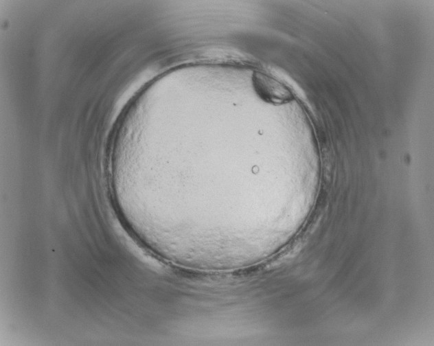 X0000074931091200609291751