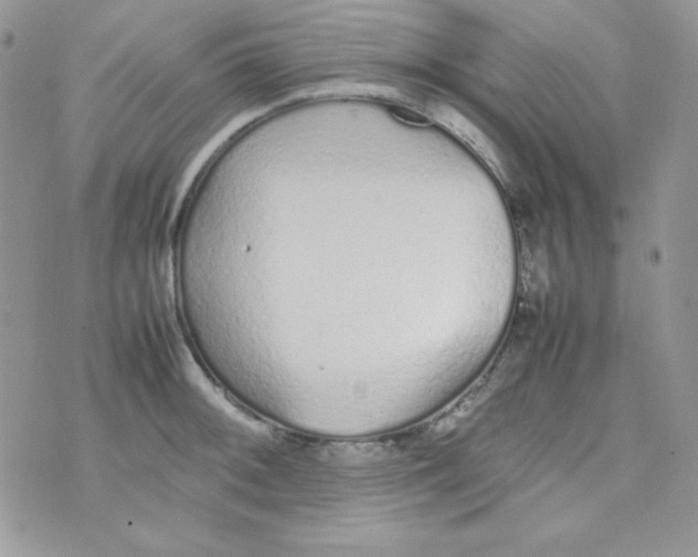 X0000074931092200609291751