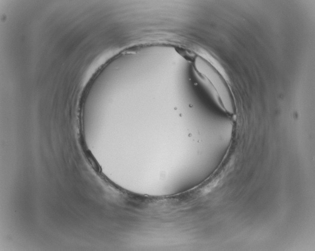 X0000074931093200609291751