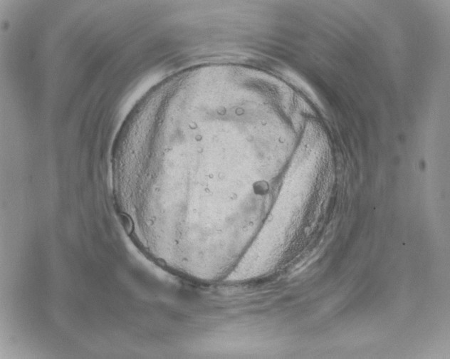 X0000074931095200609291751