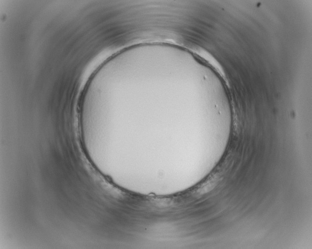 X0000074931096200609291751