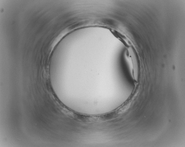 X0000074931097200609291751