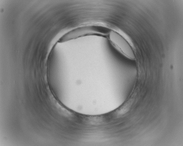 X0000074931102200609291751