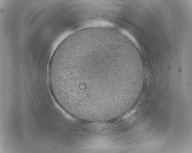 X0000074931103200609291751