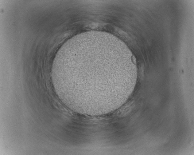 X0000074931105200609291750