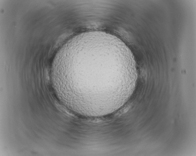 X0000074931106200609291750