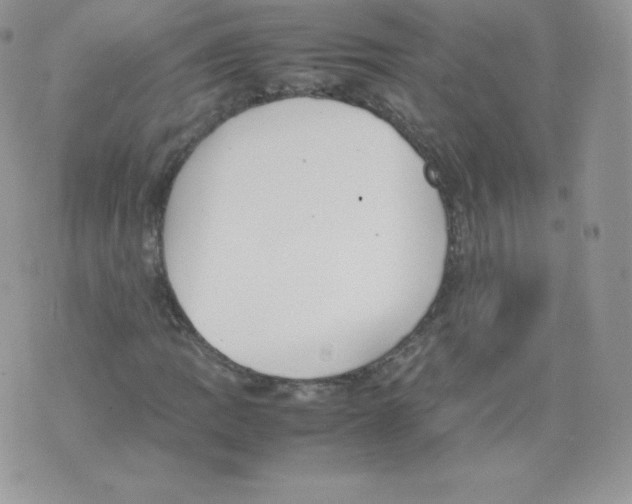 X0000074931109200609291750