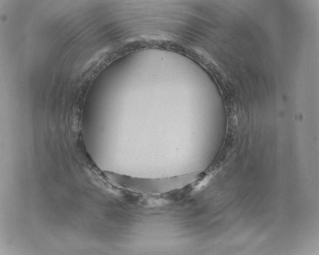 X0000074931110200609291750