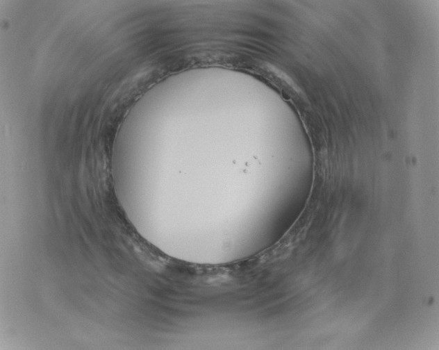 X0000074931111200609291750