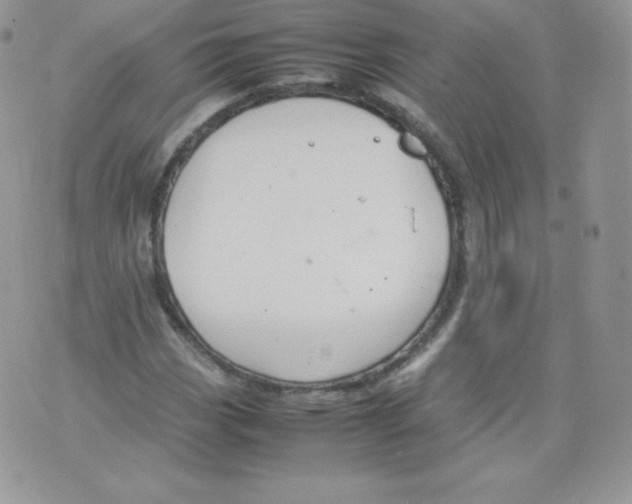 X0000074931113200609291750