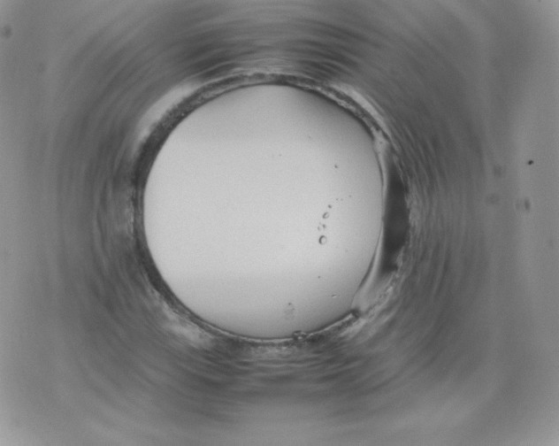 X0000074931115200609291750