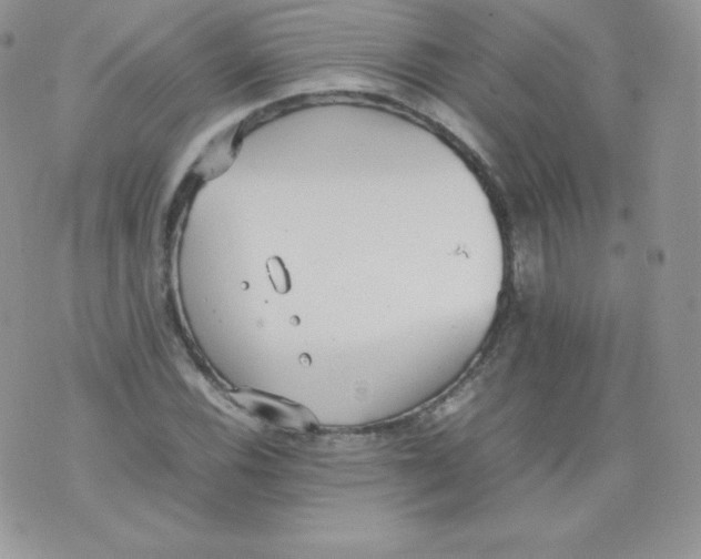 X0000074931116200609291750