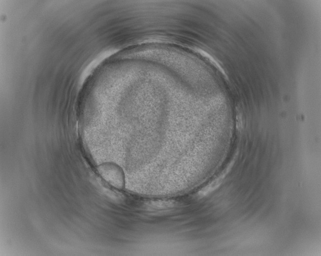 X0000074931117200609291750