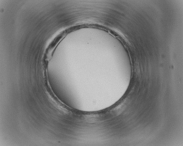 X0000074931118200609291750