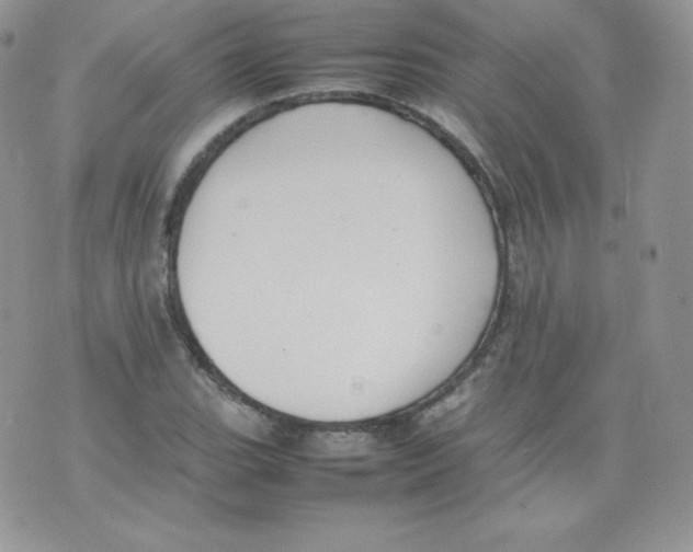 X0000074931119200609291750