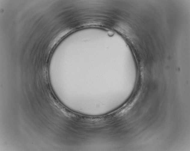 X0000074931121200609291750