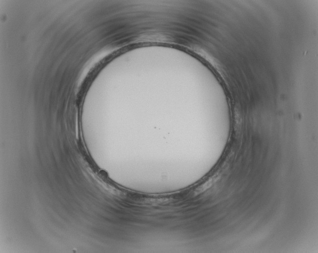 X0000074931123200609291750