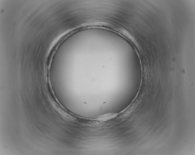 X0000074931124200609291750