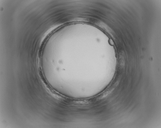 X0000074931125200609291750