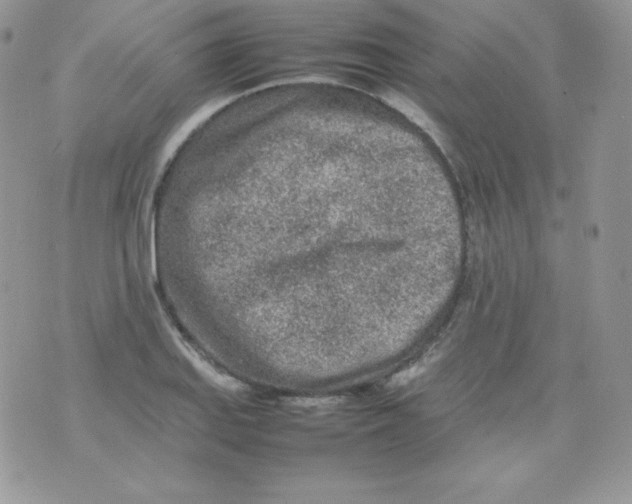 X0000074931127200609291750