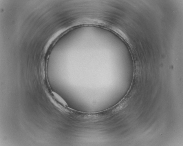 X0000074931128200609291750