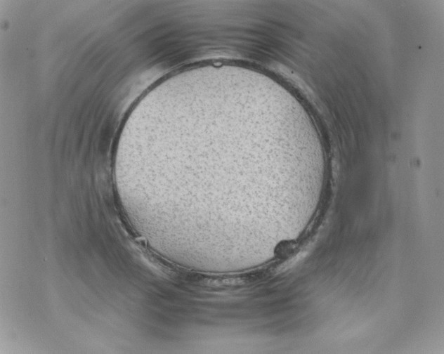 X0000074931129200609291750