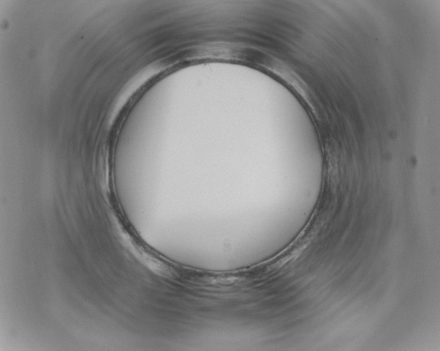 X0000074931131200609291750