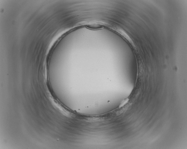 X0000074931132200609291750