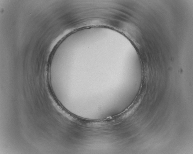 X0000074931134200609291750