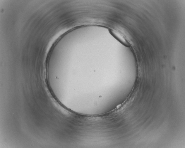 X0000074931136200609291750