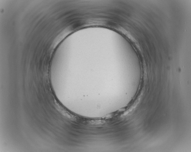 X0000074931137200609291750