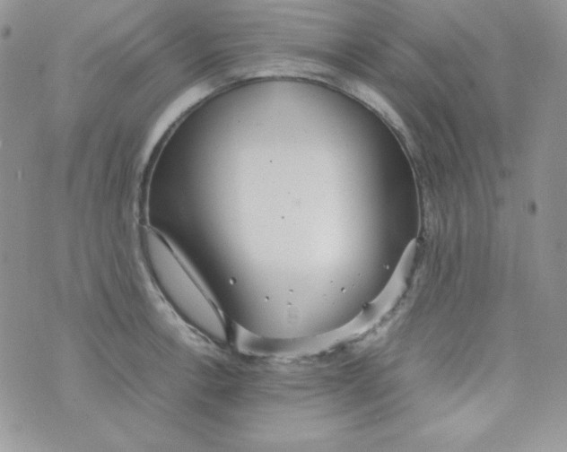 X0000074931138200609291750