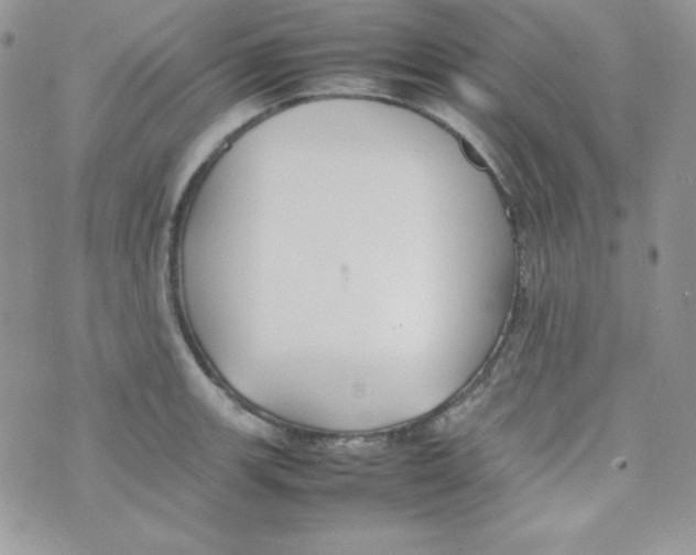 X0000074931139200609291750