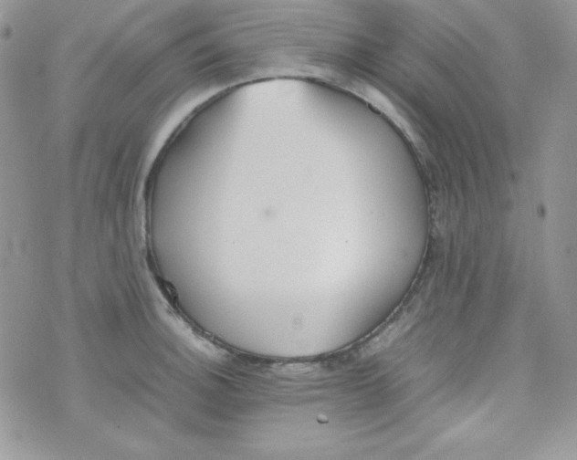 X0000074931140200609291750