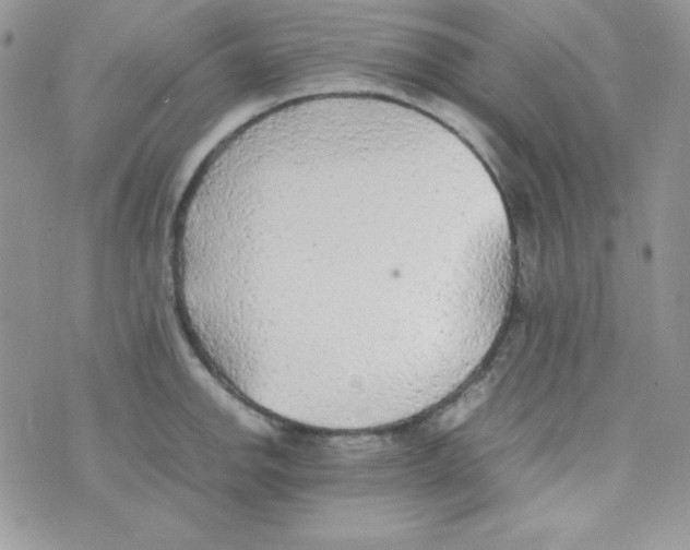 X0000074931142200609291751