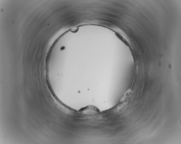 X0000074931143200609291751