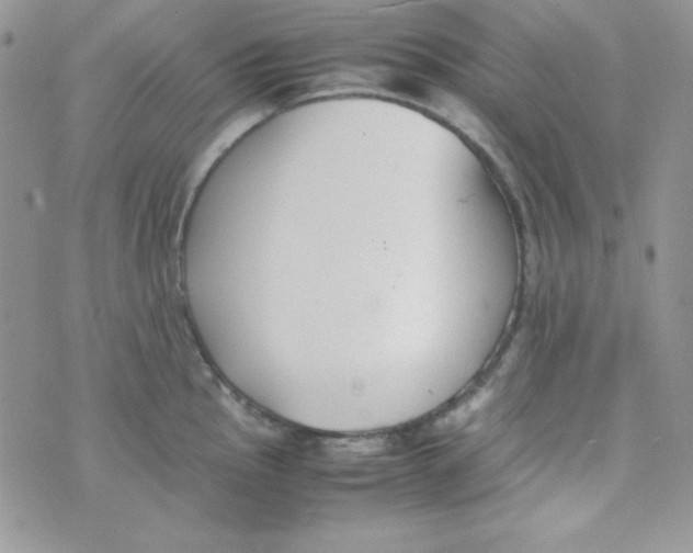 X0000074931145200609291751