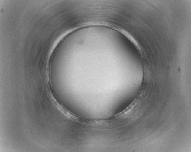 X0000074931148200609291751