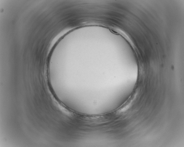 X0000074931149200609291751