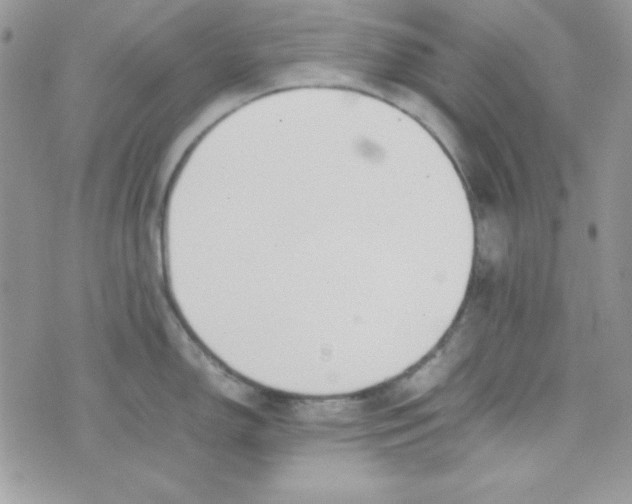 X0000074931150200609291751