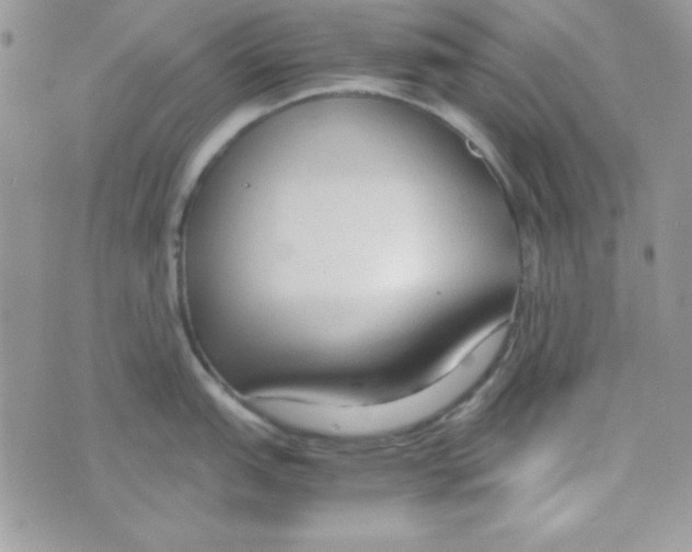 X0000074931151200609291751