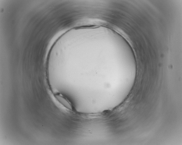 X0000074931152200609291751