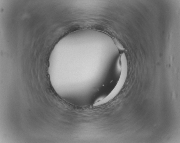 X0000074931153200609291750