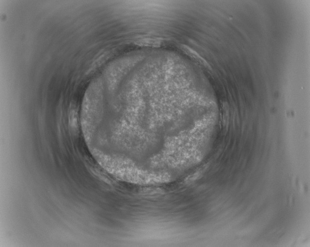 X0000074931154200609291750