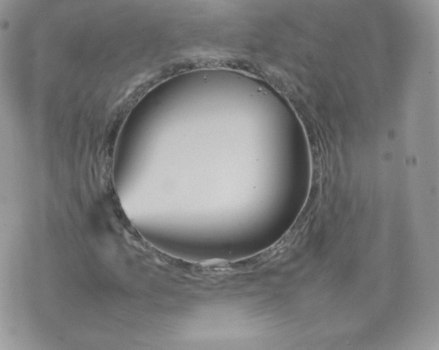 X0000074931157200609291750