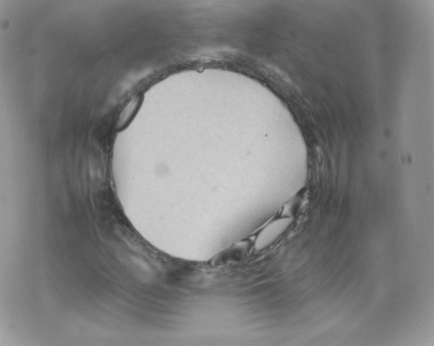 X0000074931158200609291750