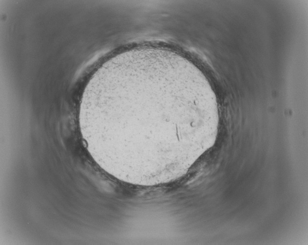 X0000074931159200609291750